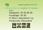 Astragalus Cd 0.1ppm απόσπασμα 10% Astragaloside IV 1,6% Cycloastragenol Membranaceus